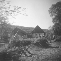 eika image